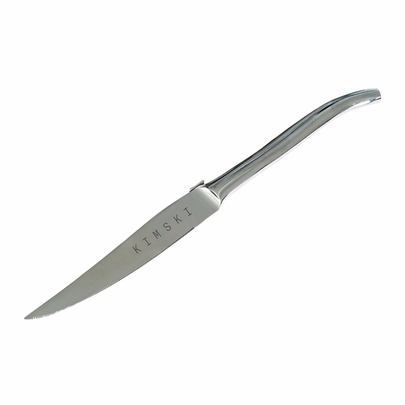 The One Knife by Laguiole France
