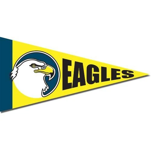 Ultra-Removable Spot Color Vinyl Pennant Booster Decal 1