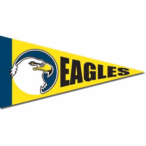 Ultra-Removable Spot Color Vinyl Pennant Booster Decal