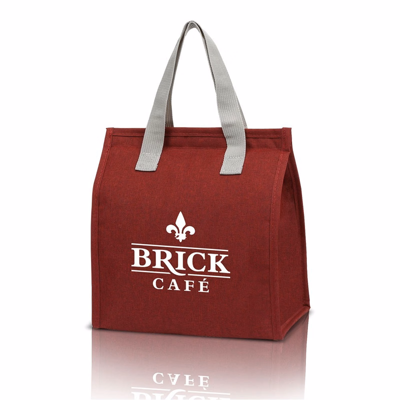 6 Pack Insulated Lunch Cooler Tote Bag