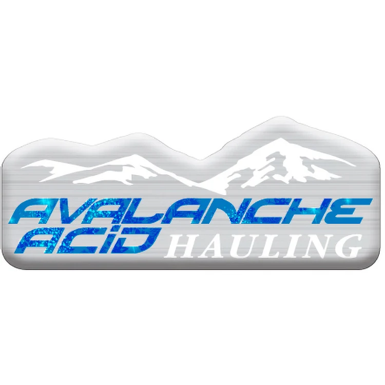 3 Sq. Inch Custom 4 Colour Process Brushed Aluminum Polyester Domed Decal 1