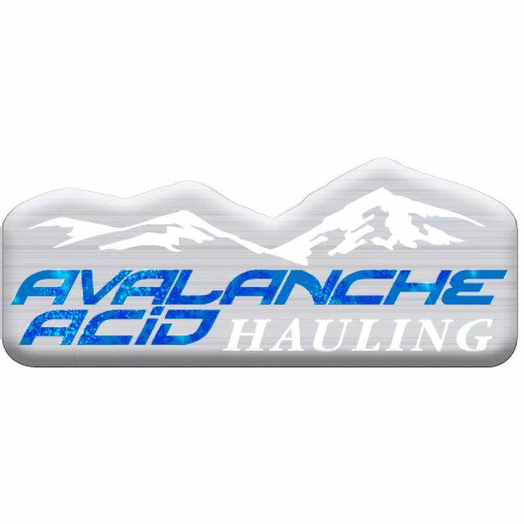 3 Sq. Inch Custom 4 Colour Process Brushed Aluminum Polyester Domed Decal