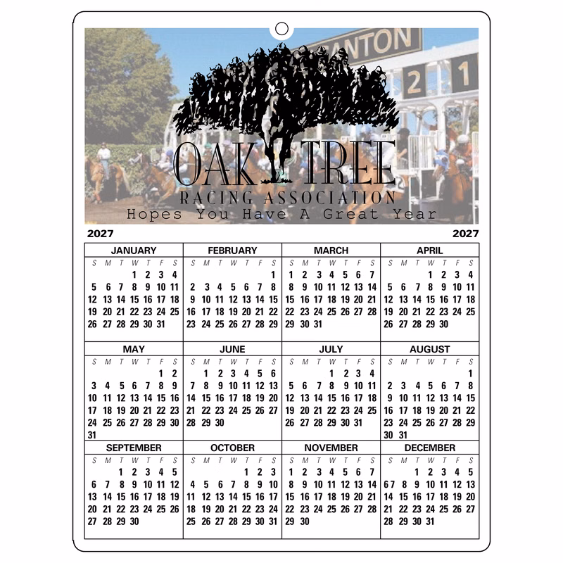 Year-at-a-Glance Full Color Plastic Write-On / Wipe off Wall Calendar