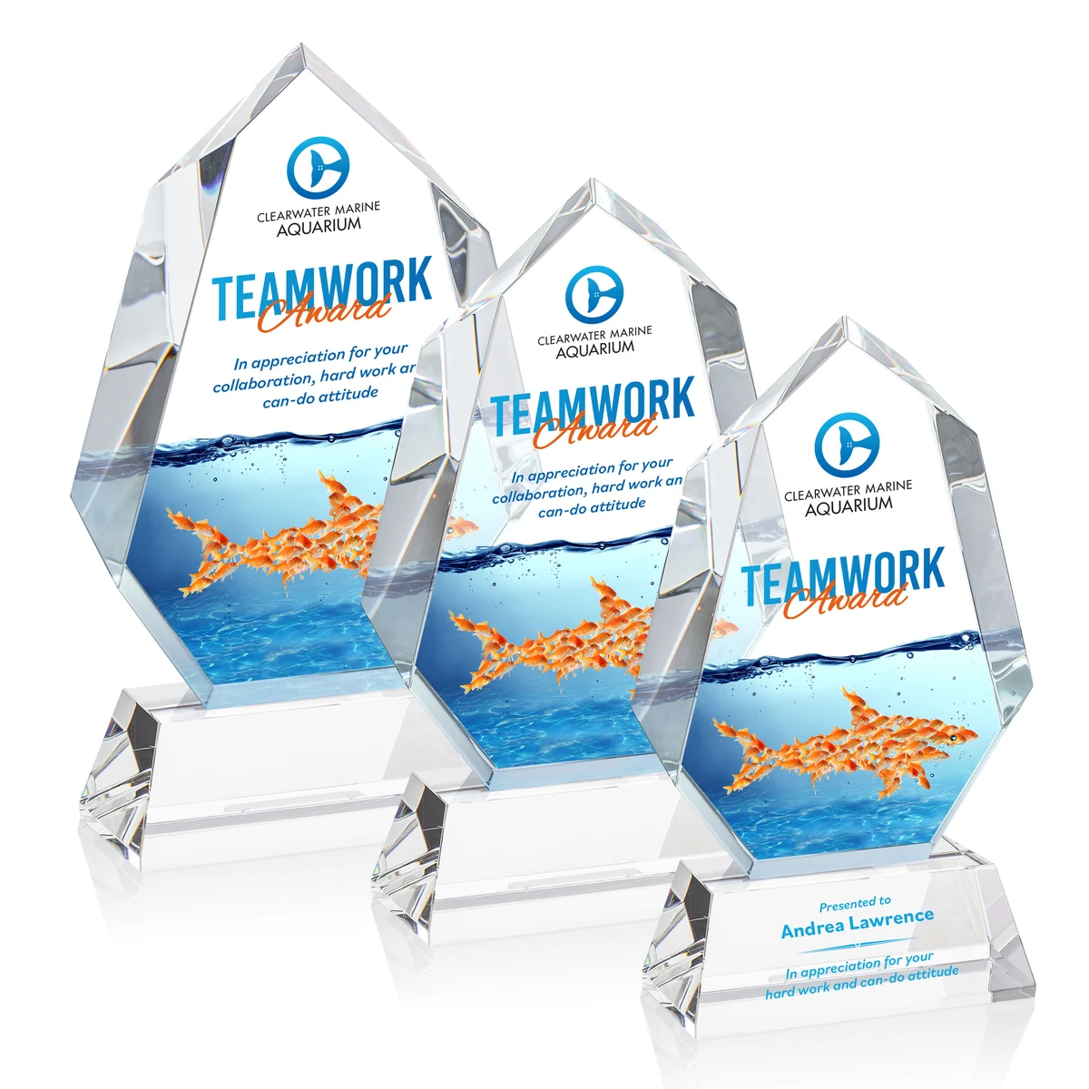 Norwood VividPrint™ Award on Newhaven Base - Clear 1