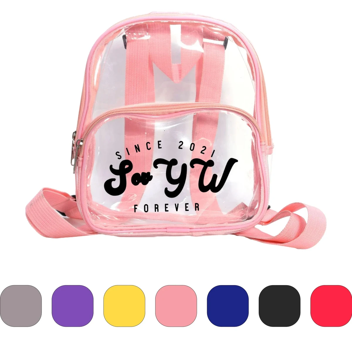 Clear Mini Transparent PVC Backpack 1