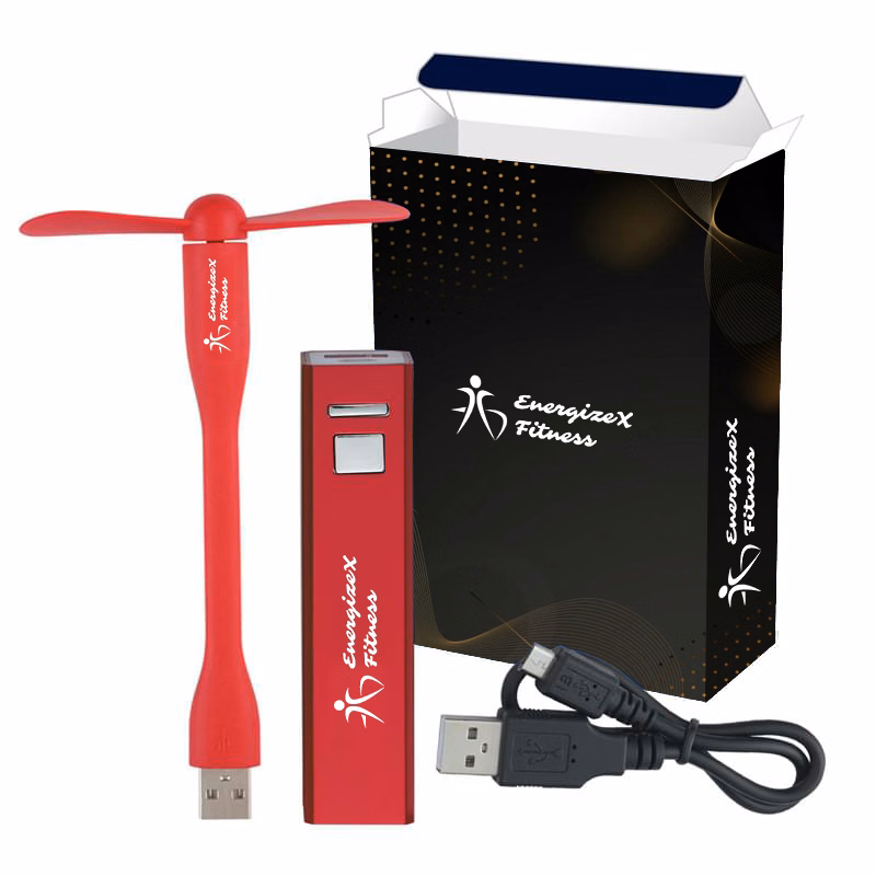 Portable Power Bank and Small Sized USB Fan combo