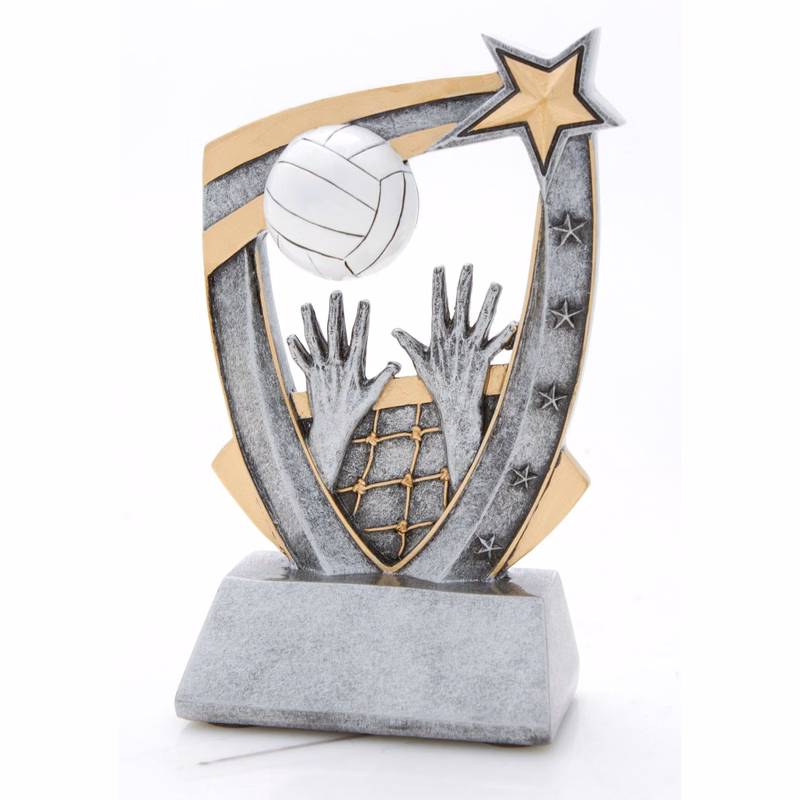 Volleyball 3-D Star Resin