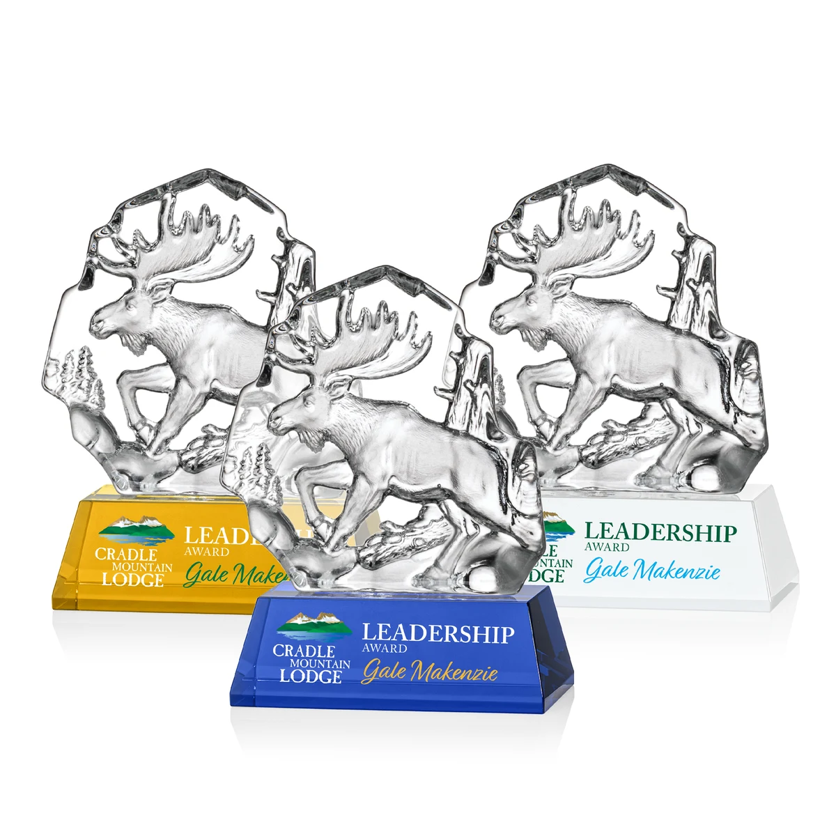 Ottavia Moose VividPrint™ Award 1