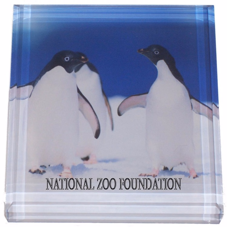 Full Color Sublimated Paperweight