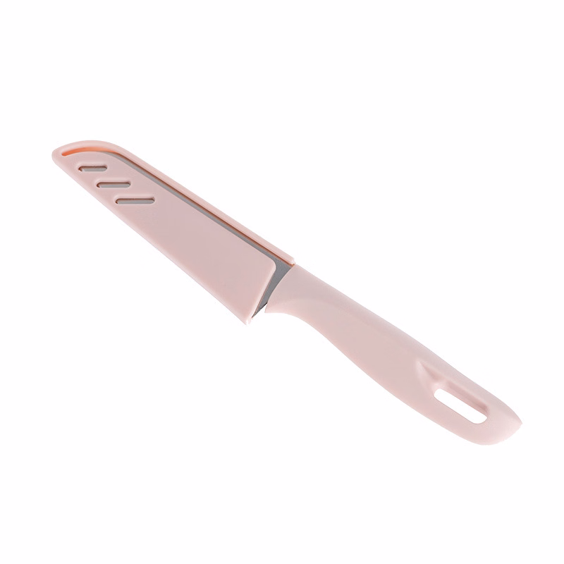 Stainless Steel Fruit Knife