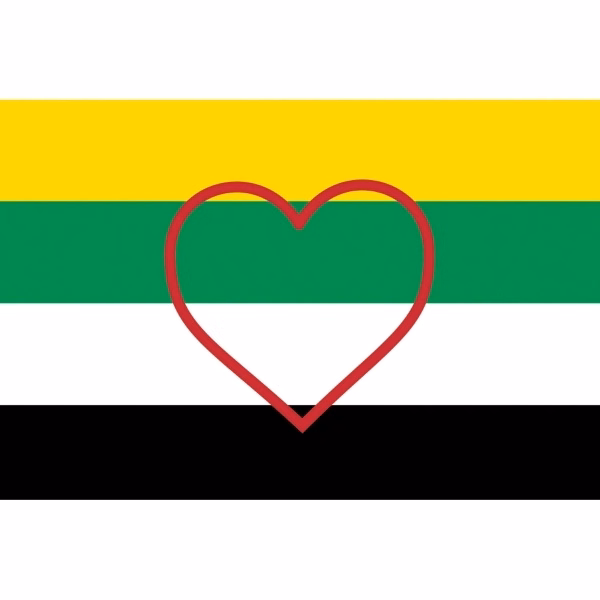 Skoliosexual Stick Flag