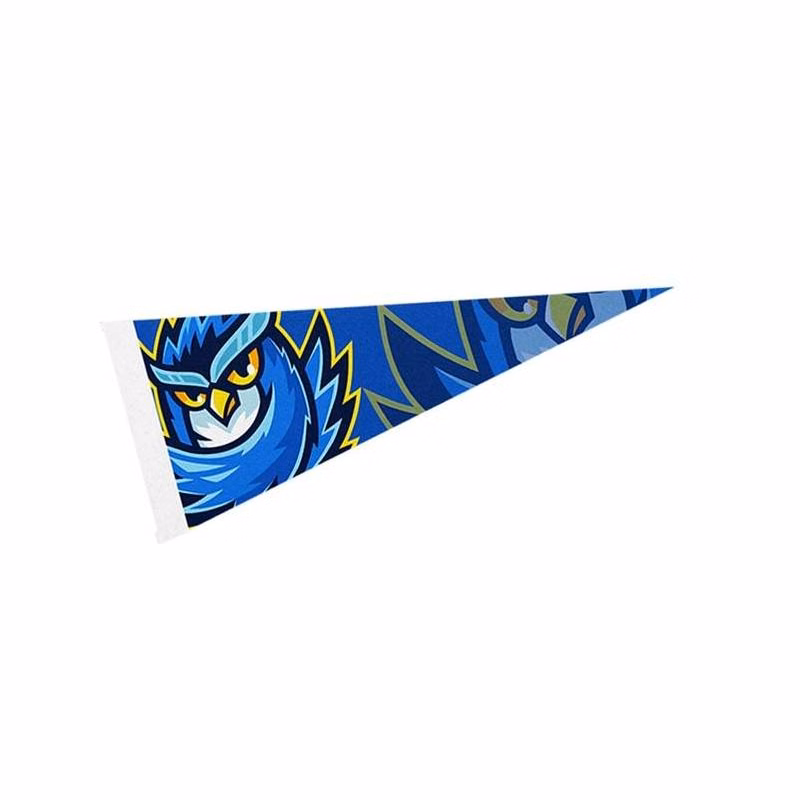 4" x 10" Full Color Felt Pennant Flag Banner with Strip