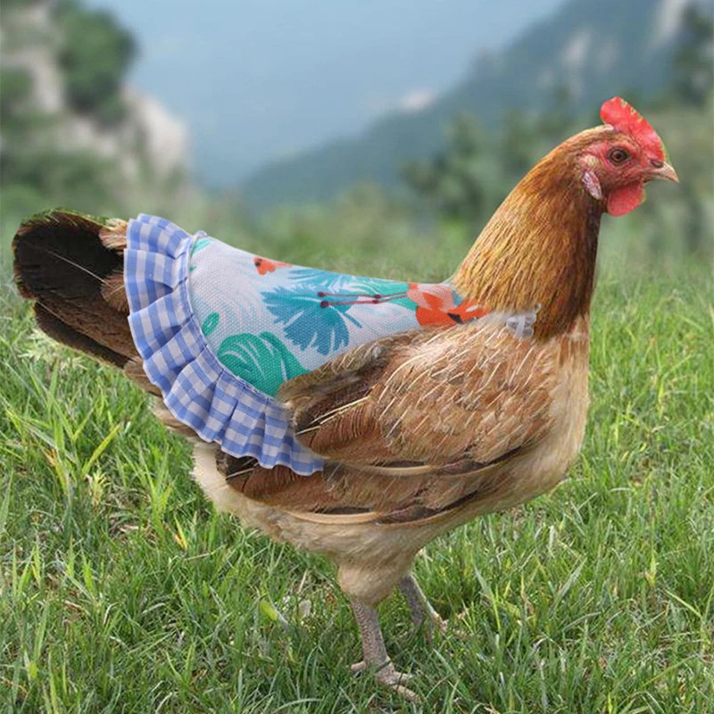 Hen Apron Chicken Saddle Hens Back Protector 1