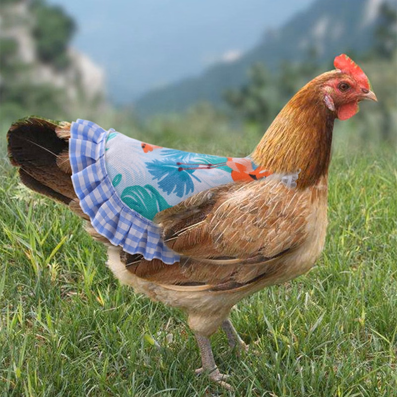 Hen Apron Chicken Saddle Hens Back Protector