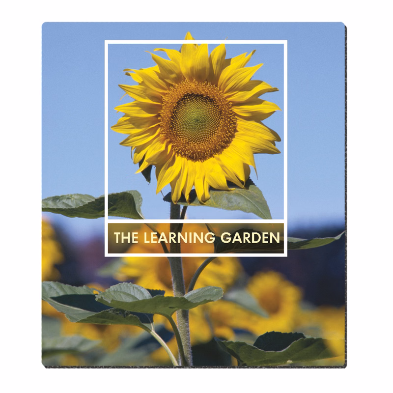 Good Value™ Ultra Thin Firm Mouse Pad (7-1/2" x 8-1/2")
