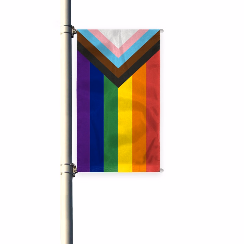3'x8' Progressive Pride Pleated Light Post Banner