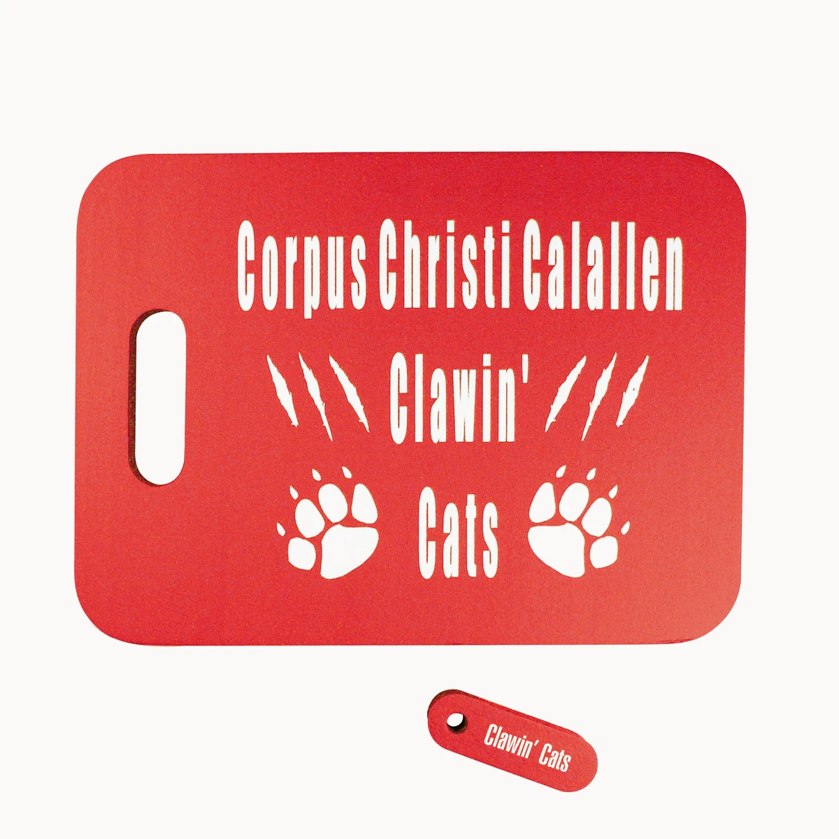 Rectangle Stadium Cushion 1