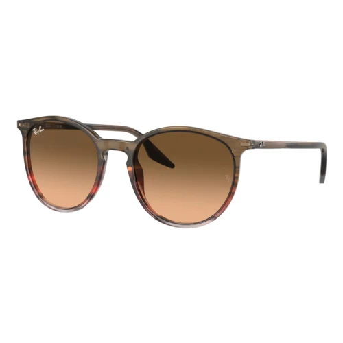 Ray-Ban RB2204 Sunglasses 1