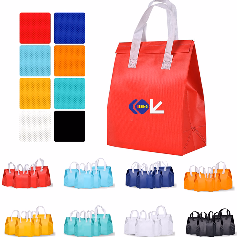 Disposable Cooler Lunch Bag with Handles