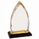 8 Inch Gold Oval Impress Acrylic Trophy 1