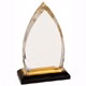 8 Inch Gold Oval Impress Acrylic Trophy