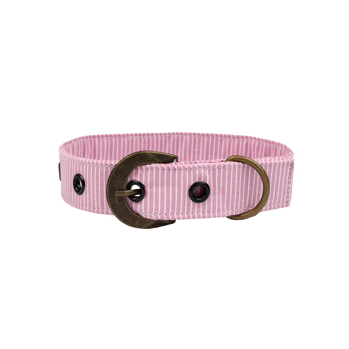 Poly Cotton Premium Large Buckle Dog Collar 20" - 26" 1