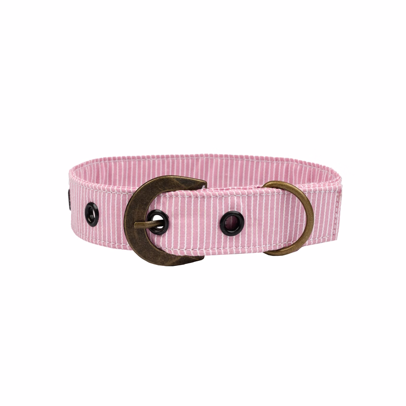 Poly Cotton Premium Large Buckle Dog Collar 20" - 26"