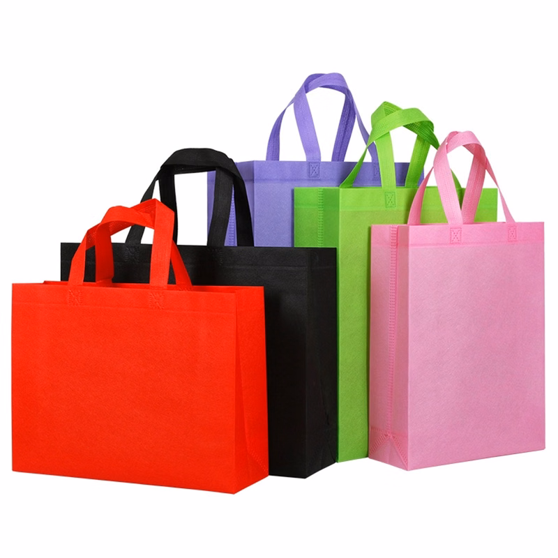 Reusable Non Woven Gift Bags with Handles
