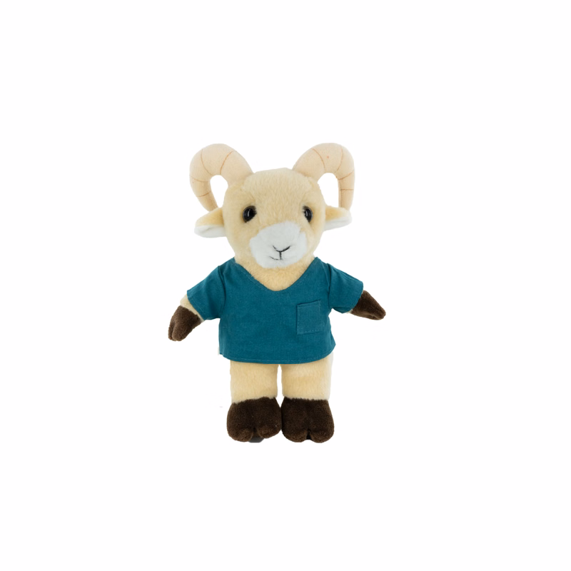 Plush Ram with Scrub Shirt