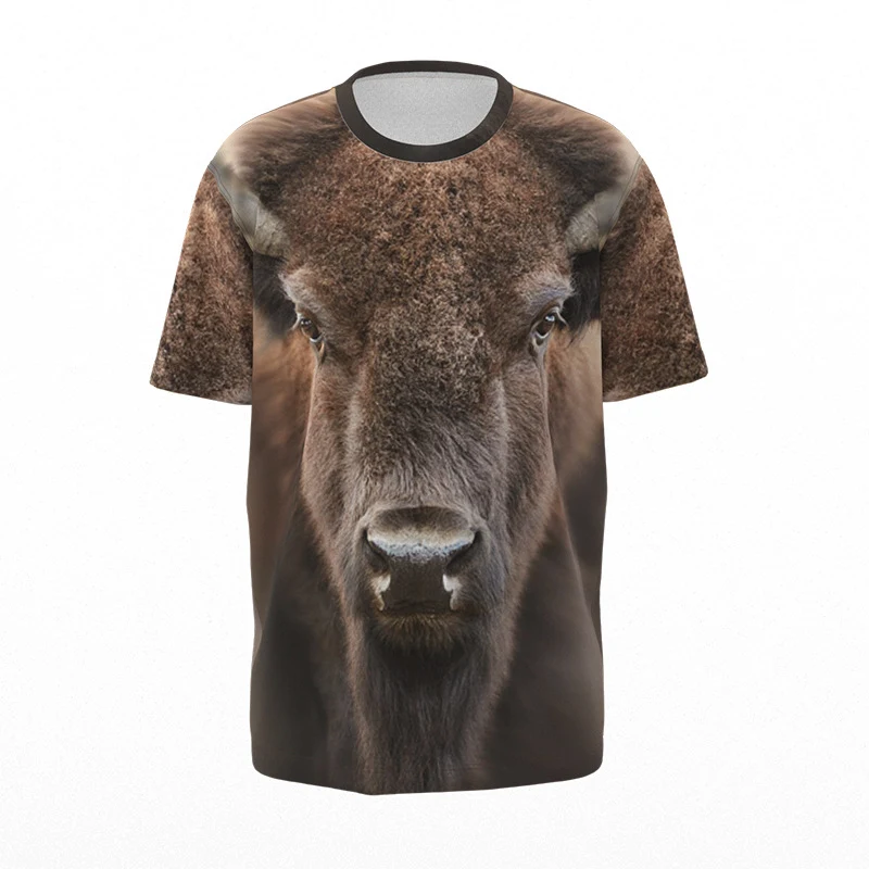 Custom Dye Sublimation Short Sleeve Polyester T Shirt 1