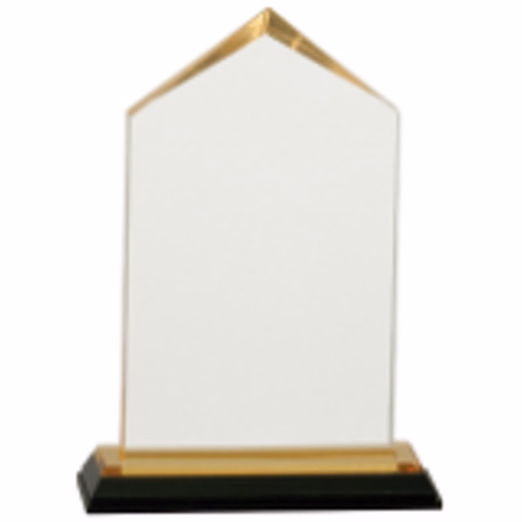 6.5" Gold Jewel Impress Acrylic Award