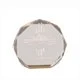 5 Inch Gold Octagon Acrylic Award 1