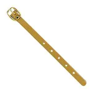 Leather Strap 1