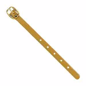Leather Strap