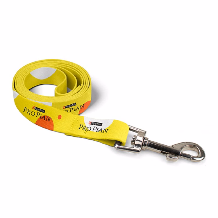 1" x 60" Full Color Bandoggies Dog Leash