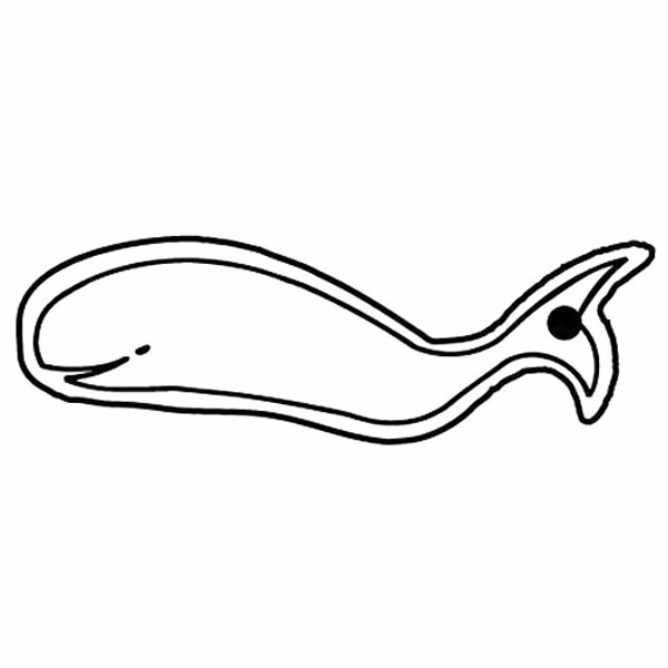 Whale Outline 1 Key Tag (Spot Color)