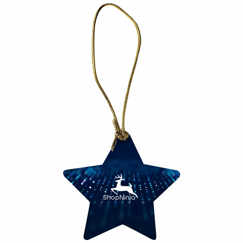 Acrylic Star Ornament