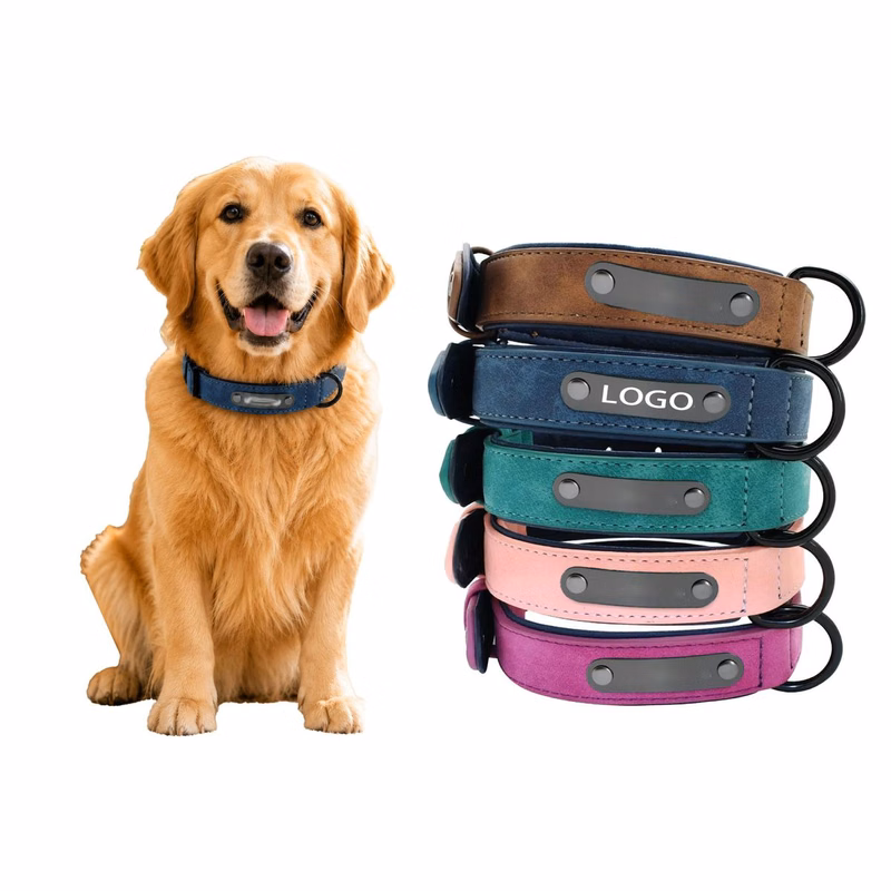 Anti Lost Metal Nameplate Dog Collar