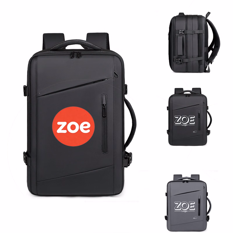 Business luggage backpack