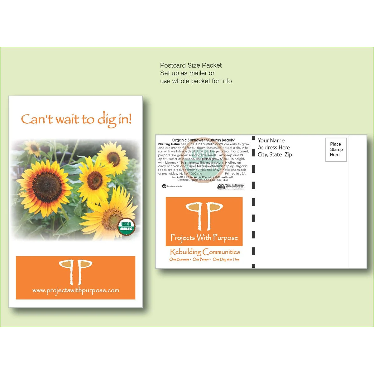 Organic Sunflower Autumn Beauty Seed Packet - Postcard Mailer Size 4" x 6.5" 1