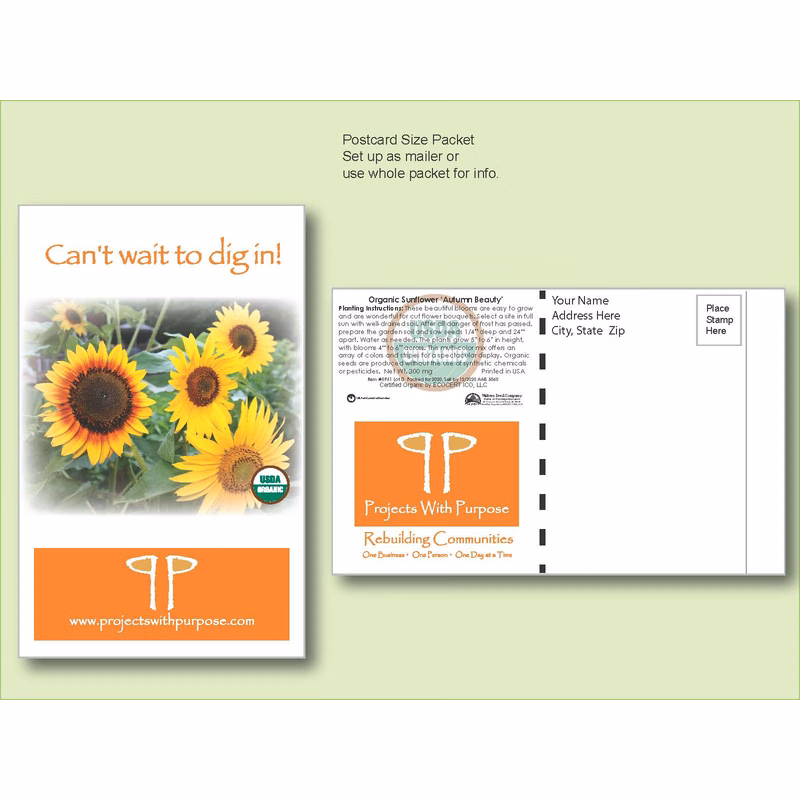 Organic Sunflower Autumn Beauty Seed Packet - Postcard Mailer Size 4" x 6.5"