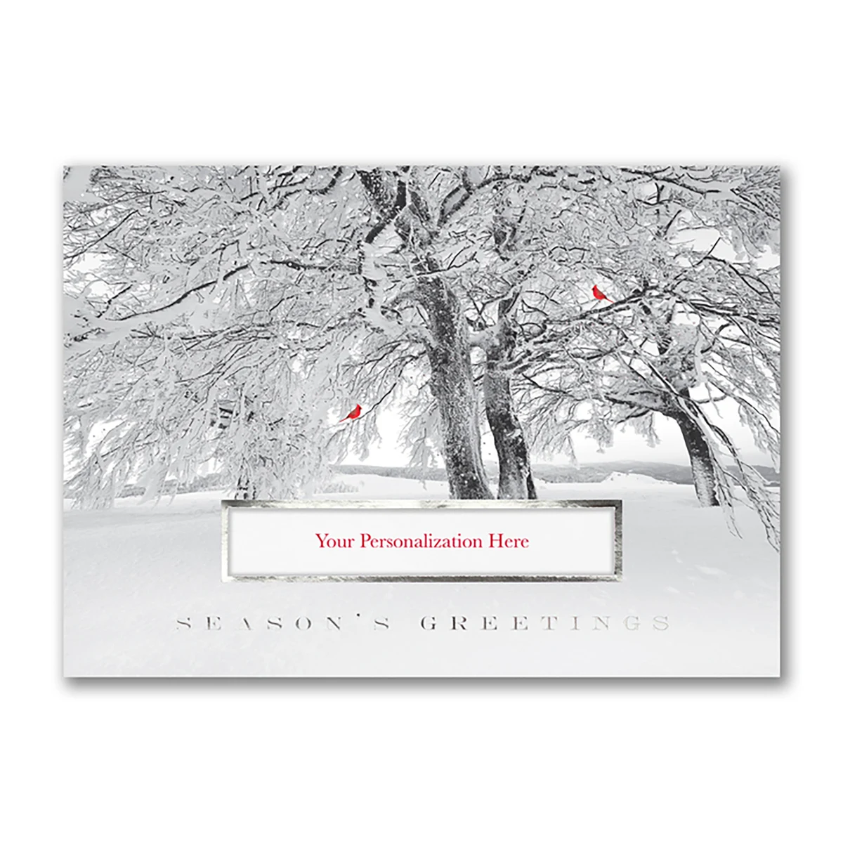 Cardinal Season Holiday Card 1