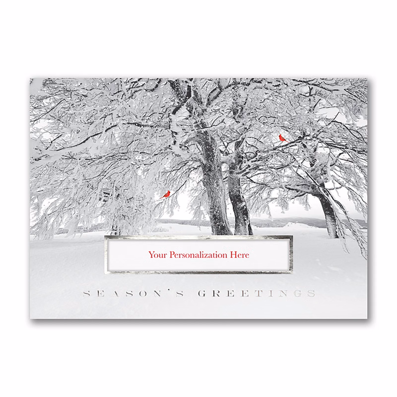 Cardinal Season Holiday Card
