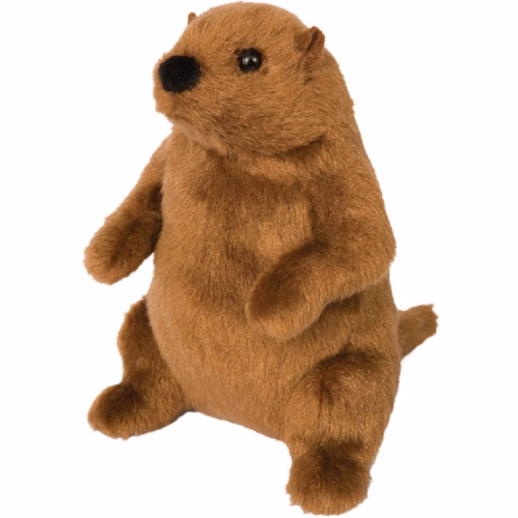 Mr G Groundhog Stuffed Animal