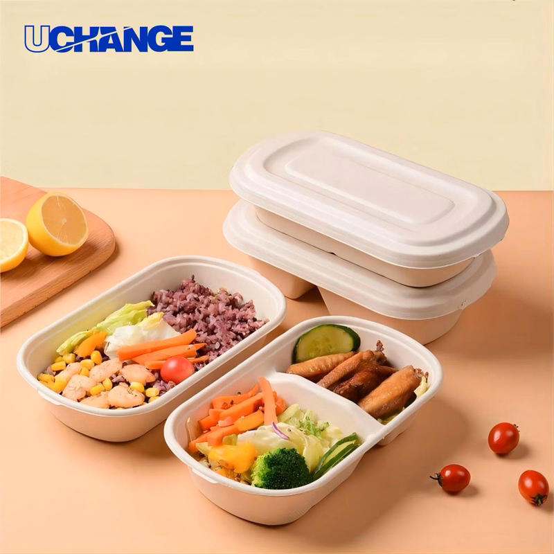 Disposable Degradable Pulp Lunch Food Box
