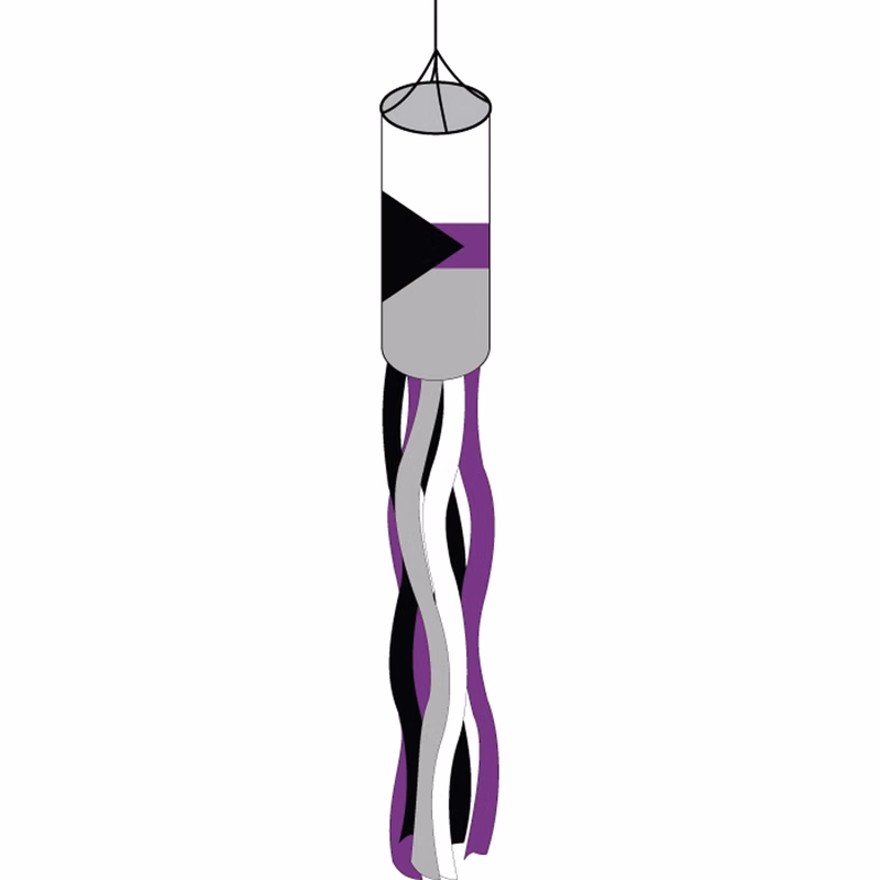 Demisexual Windsock