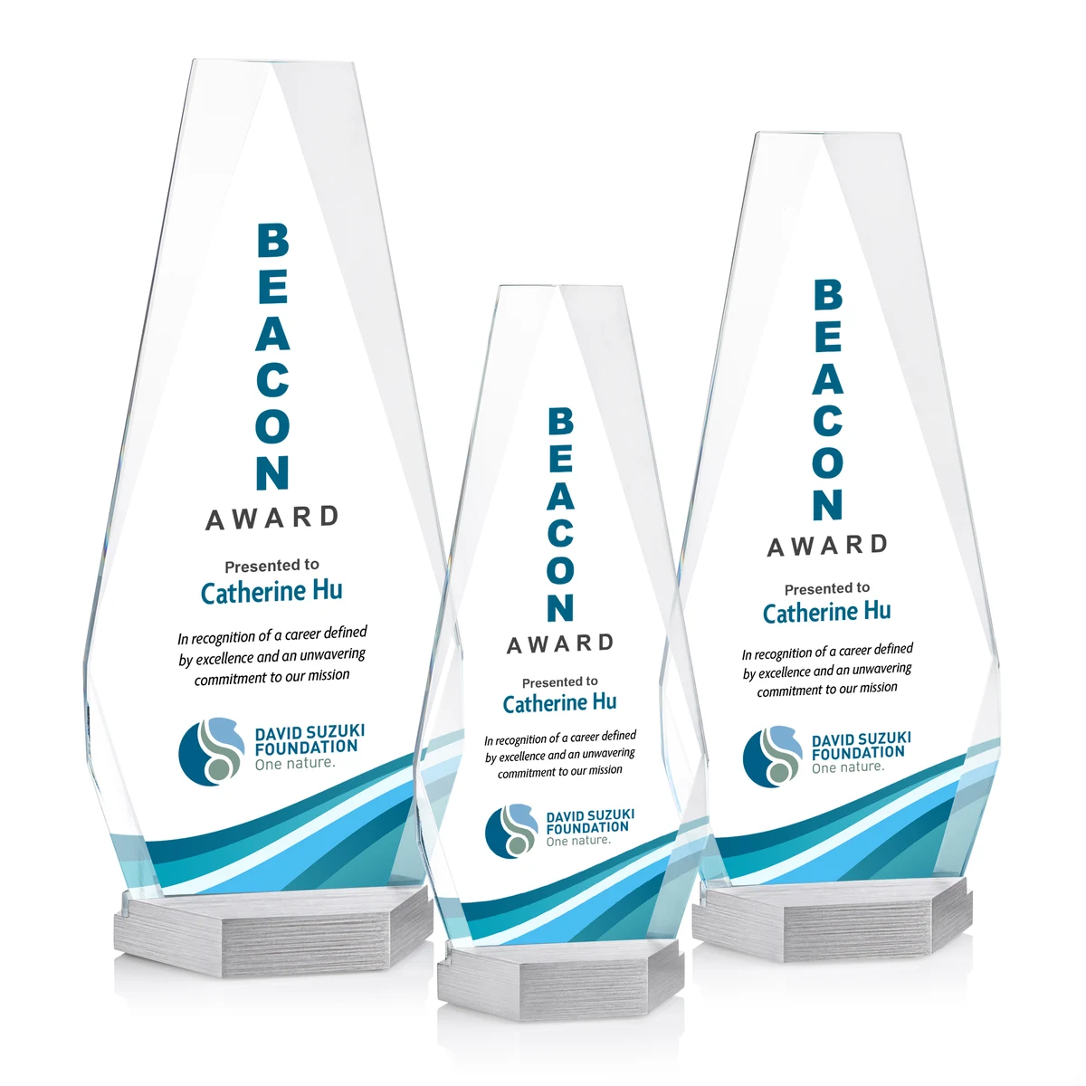 Paulson VividPrint™ Award 1