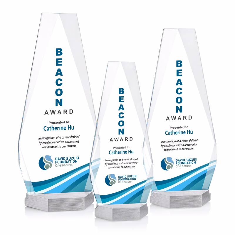 Paulson VividPrint™ Award