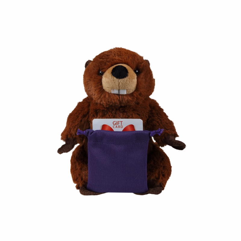 Soft Plush Sitting Beaver with Gift Card Sack