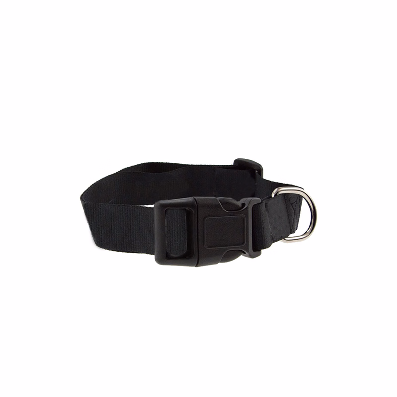 Silkscreen Printed Pet Collar